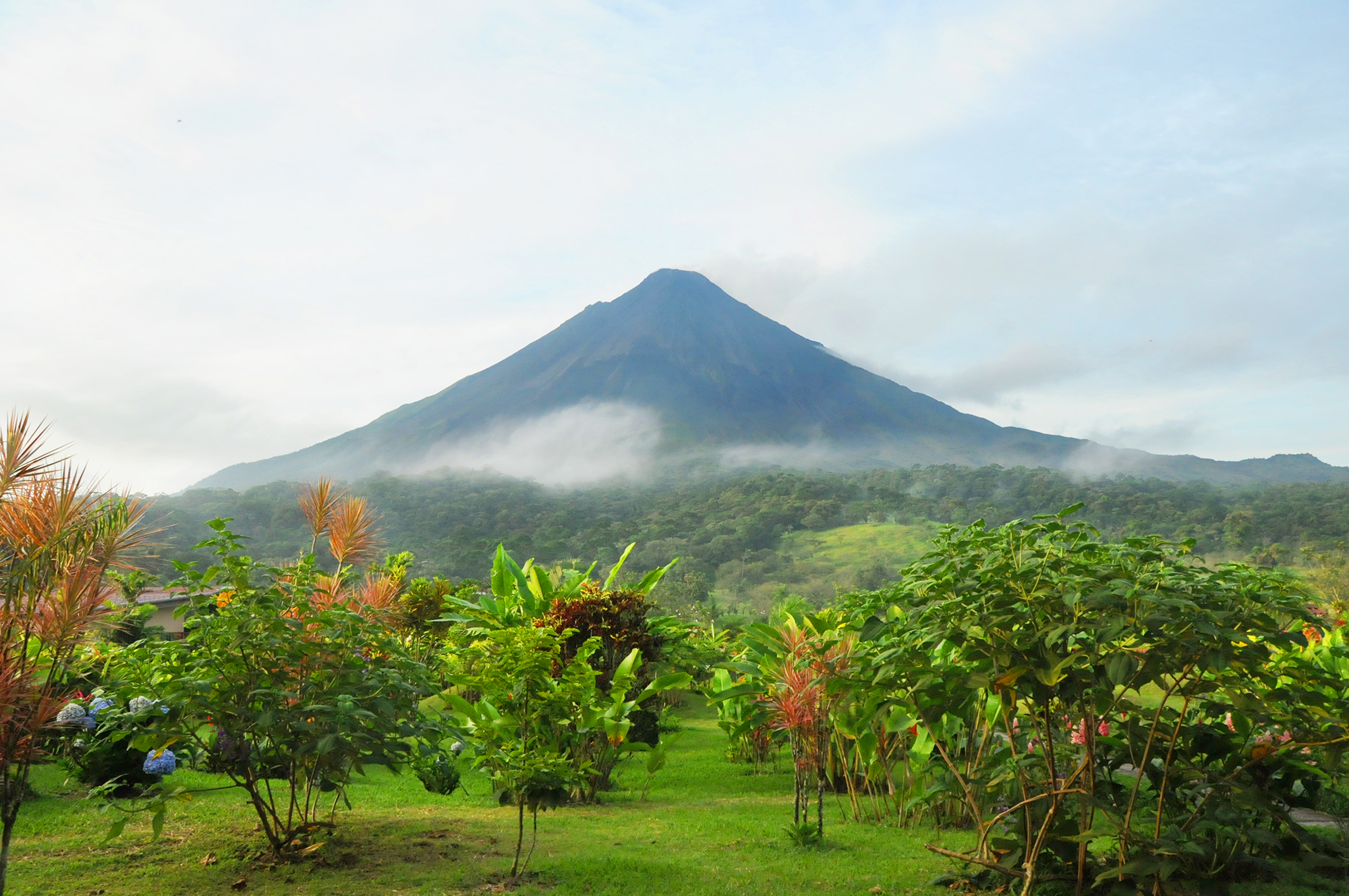 Costa Rica y Bocas del Toro