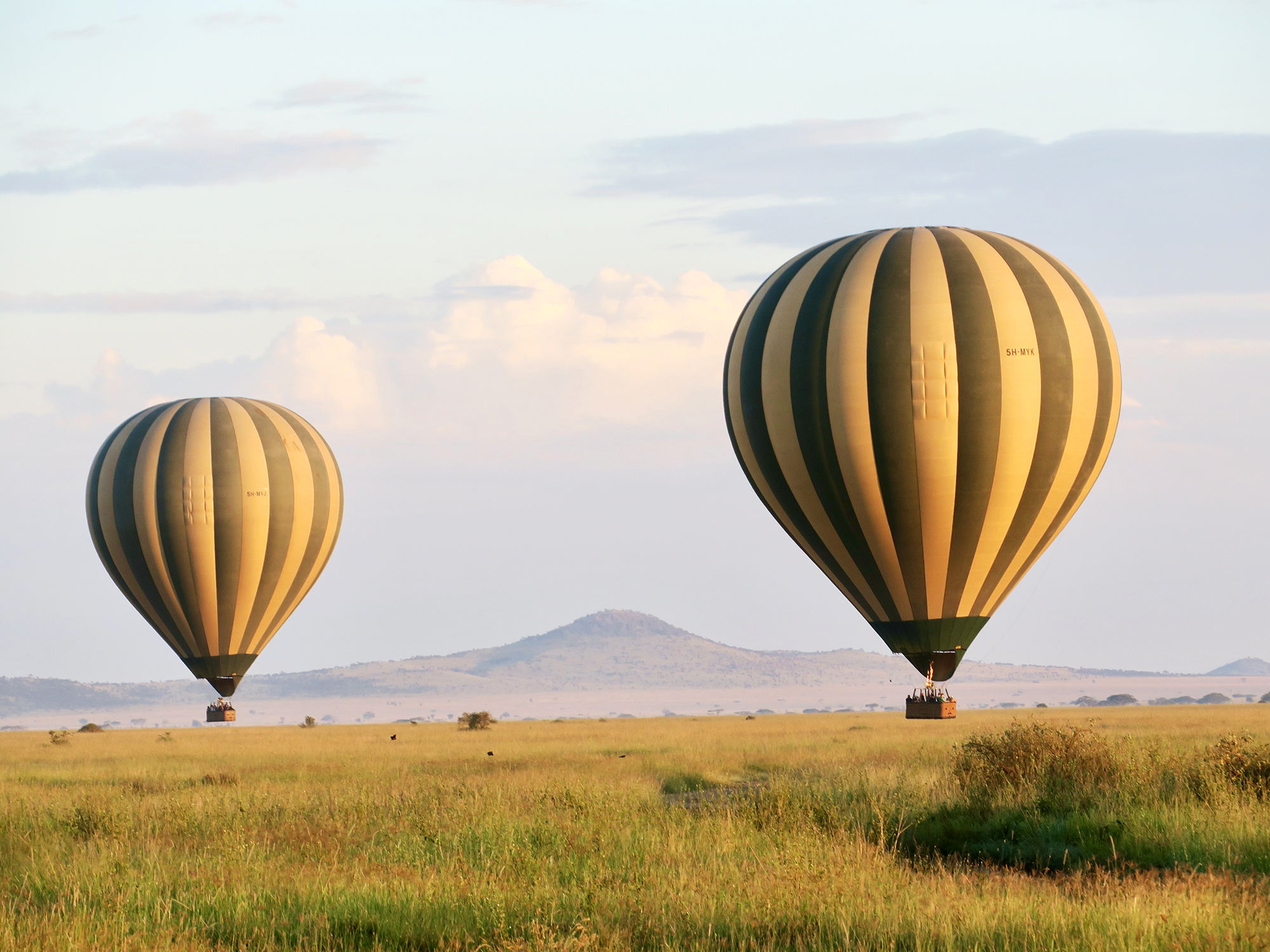 Tanzania Njema