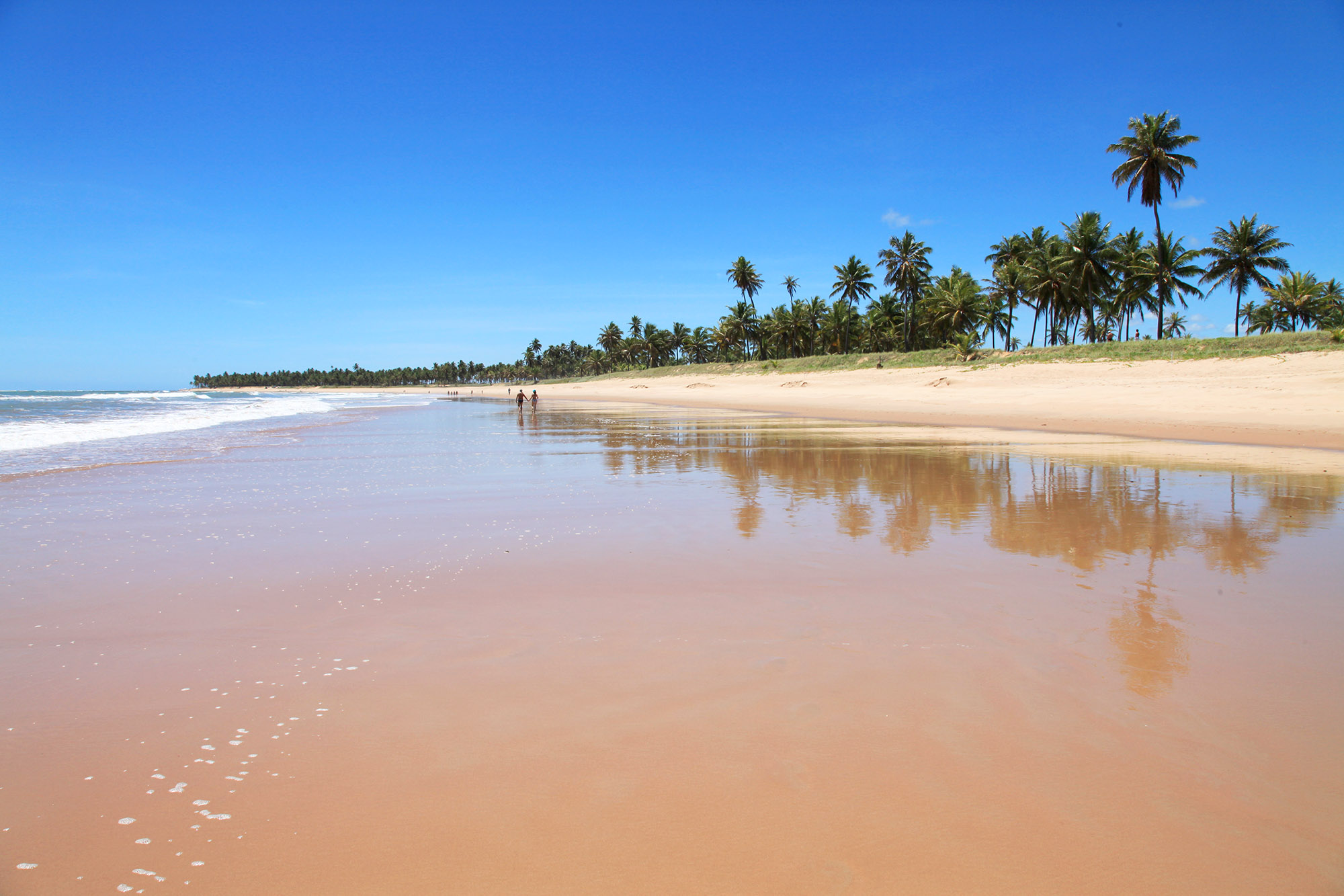 Colores de Brasil con Playa do Forte